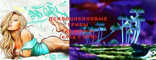 герыч Алзамай