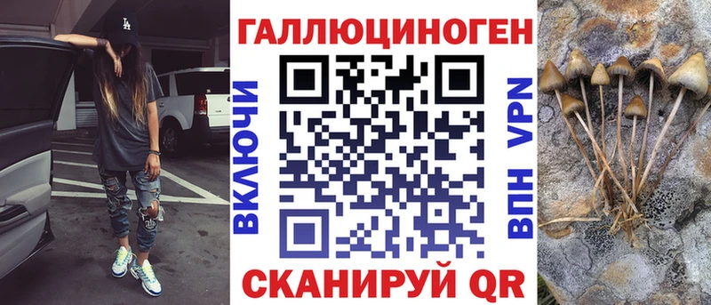 mega ссылка  Байкальск  Галлюциногенные грибы Cubensis 